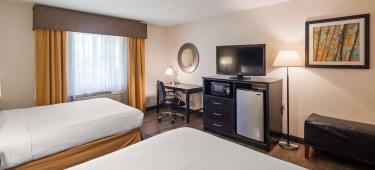 纽瓦克克里斯蒂安娜贝斯特韦斯特优质酒店(Best Western Plus Newark/Christiana Inn)图片