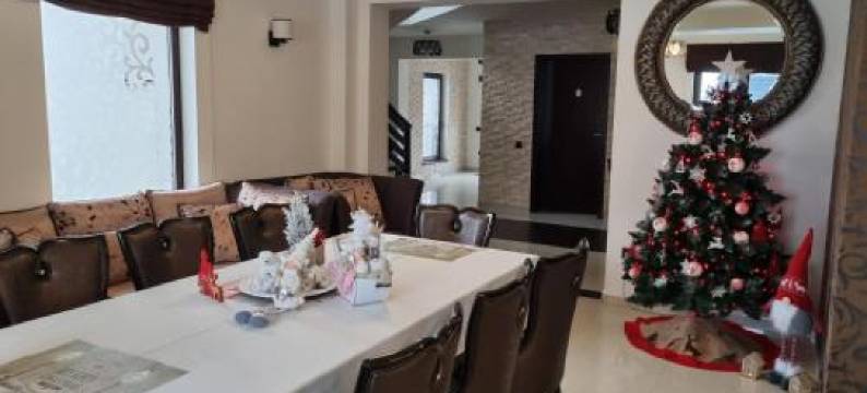 阿尔马尔旅馆(Pensiunea Ellemar)图片