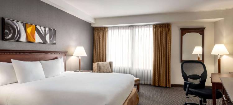 斯普林菲尔德市中心温德姆酒店(Wyndham Springfield City Centre)图片