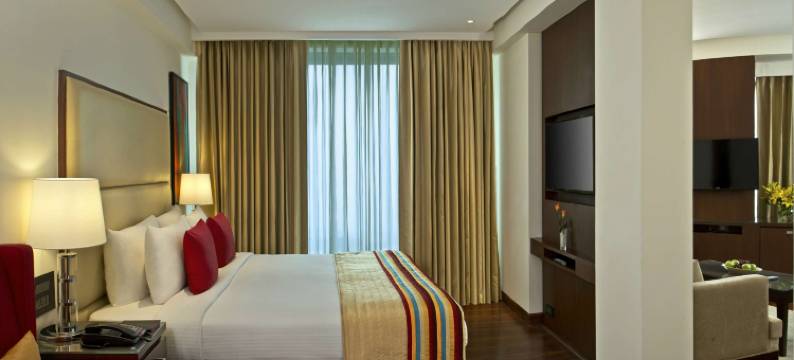 齐拉克普尔丽亭酒店(Park Plaza Zirakpur)图片