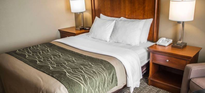 舒适酒店(Quality Inn & Suites)图片