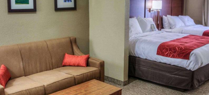 普利茅斯舒适套房酒店 - 近 US-30(Comfort Suites Plymouth Near US-30)图片