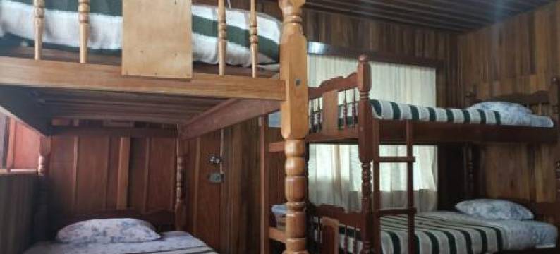 贝尔鸟酒店(Hotel Bell Bird)图片