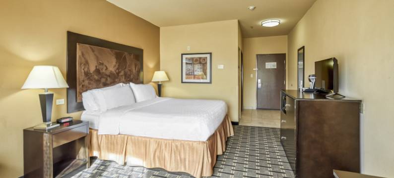 智选假日套房酒店比维尔 by IHG(Holiday Inn Express & Suites Beeville by IHG)图片