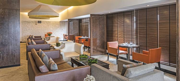新德里公园酒店(The Park New Delhi)图片