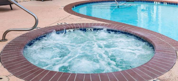 休斯顿IAH机场环城公路8舒适套房酒店(Comfort Suites Houston IAH Airport - Beltway 8)图片