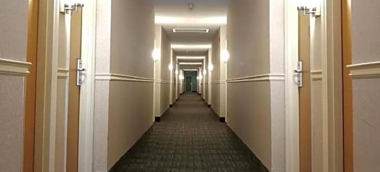 机场伊克诺旅馆(Econo Lodge Airport Quebec)图片