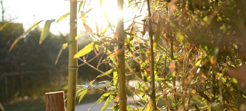 隐觉Loft和风酒店式公寓(北京新国展店)图片