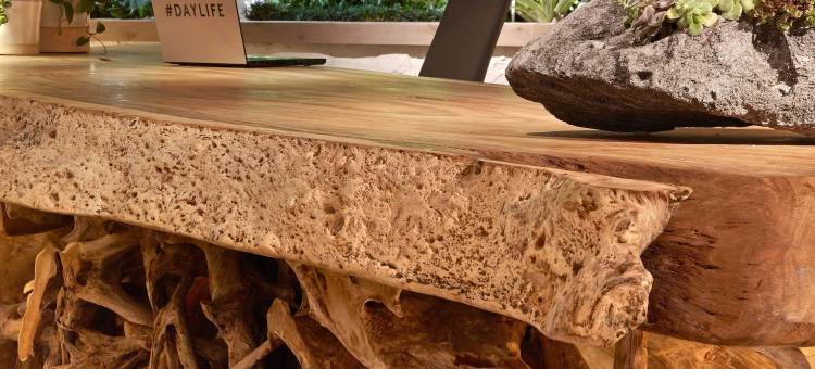 南海滩壹酒店(1 Hotel South Beach)图片