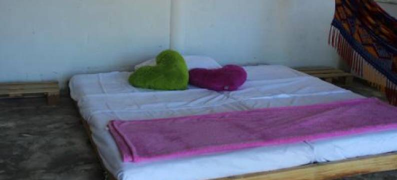 Yaharo旅馆(Yaharo Posada Turistica)图片