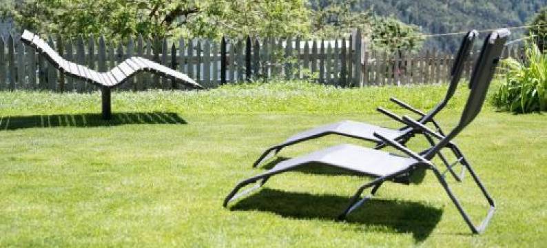 Teutenhofer Kirsche图片