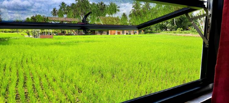 Wafaby客栈(Wafaby Guest House)图片