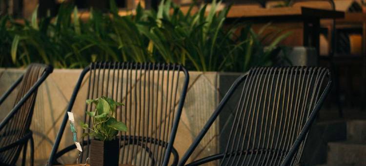 巴厘维拉精品套房酒店(The Vira Bali Boutique Hotel & Suite)图片