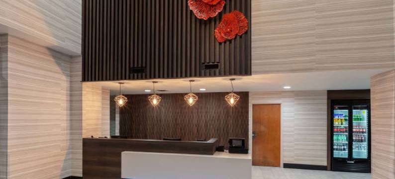 达拉斯-沃斯堡/欧文北部蔚景温德姆酒店(Wingate by Wyndham DFW / North Irving)图片