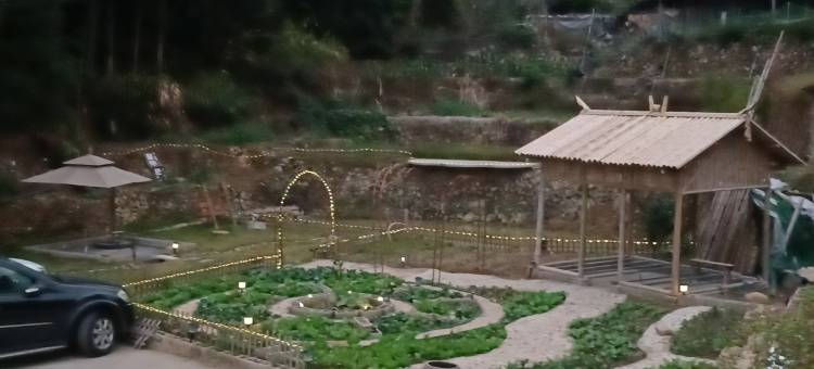 文成丹恒山居民宿(安福寺店)图片