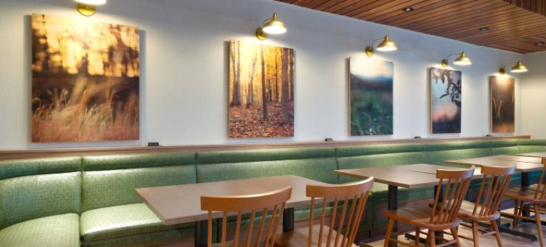 劳雷尔万枫酒店及套房(Fairfield Inn & Suites Laurel)图片