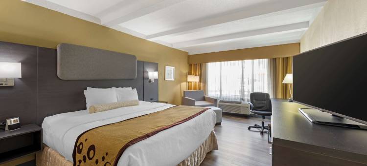 麦迪逊亨茨维尔贝斯特韦斯特优质酒店(Best Western Plus Madison-Huntsville Hotel)图片