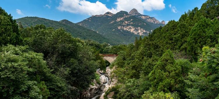 木子家公寓(乐活路分店)图片