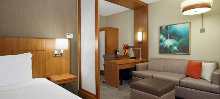 休斯顿西北复古公园凯悦嘉轩酒店(Hyatt Place Houston NW Vintage Park)图片