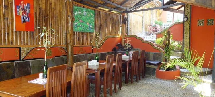 猩猩酒店(Hotel Orangutan)图片