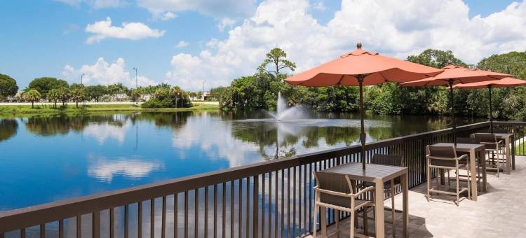 博尼塔斯普林斯那不勒斯北欢朋酒店(Hampton Inn Bonita Springs/Naples-North)图片