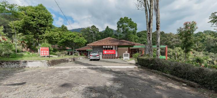 红门伊斯兰教义酒店-甘榜奇维迪(RedDoorz Syariah @ Gambung Ciwidey)图片