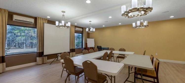 加兹登贝斯特韦斯特优质套房酒店(Best Western Plus Gadsden Hotel  Suites)图片
