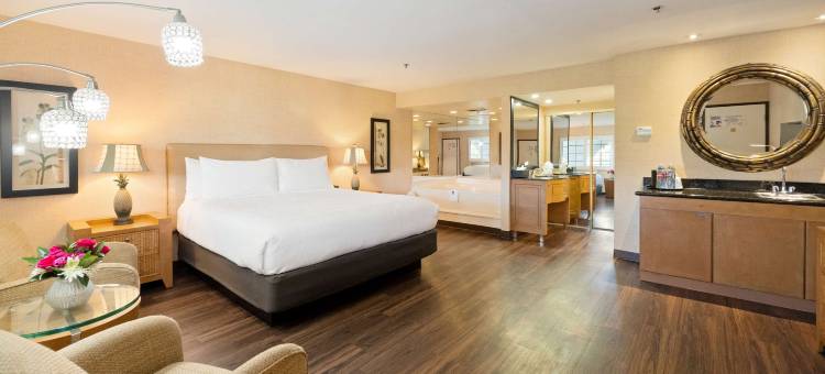 拉斯布里萨斯贝斯特韦斯特优质酒店(Best Western Plus Las Brisas Hotel)图片