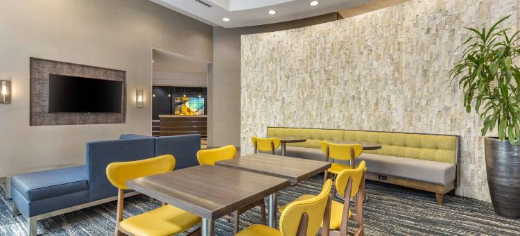 洛克维尔坎布里亚酒店(Cambria Hotel Rockville)图片