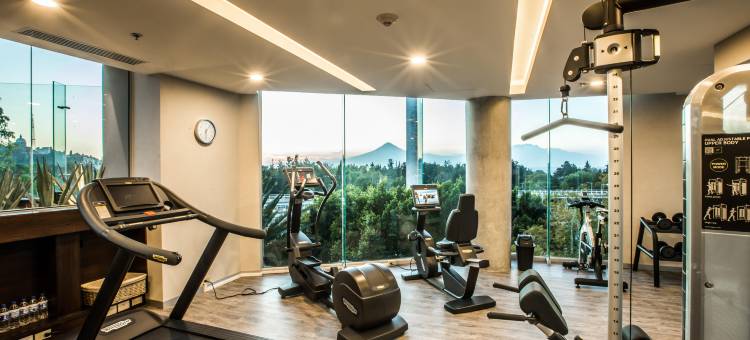 普埃布拉福朋喜来登酒店(Four Points by Sheraton Puebla)图片