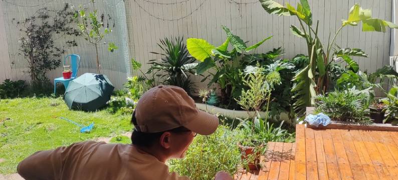 大理才村望野女性民宿(环海西路分店)图片