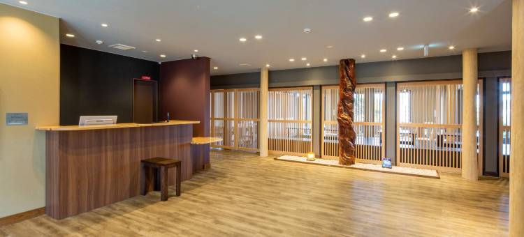 南纪白滨 和之汤 花鸟风月(Nanki Shirahama Nagominoyu Kachofugetsu)图片