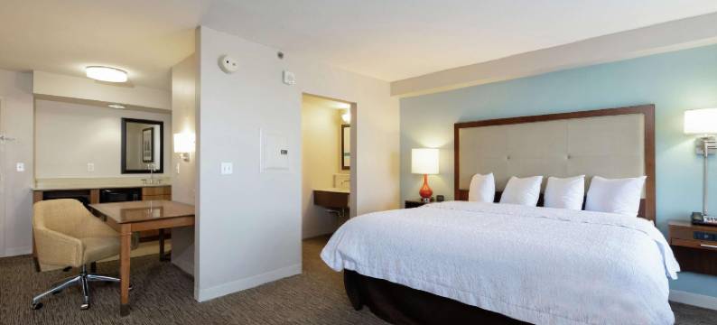 奥斯汀机场欢朋套房酒店(Hampton Inn & Suites Austin-Airport)图片