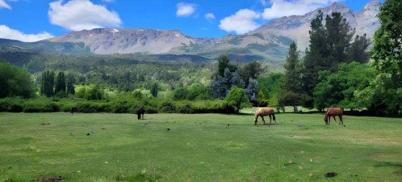 Esaki Farm Near El Bolson图片