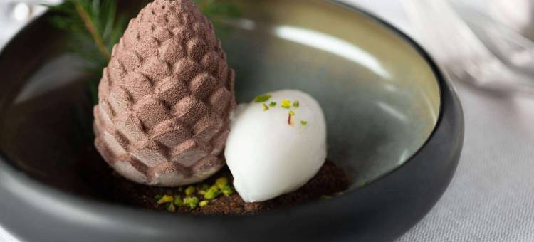 弗洛里蒙布理特酒店(Brit Hotel Florimont)图片