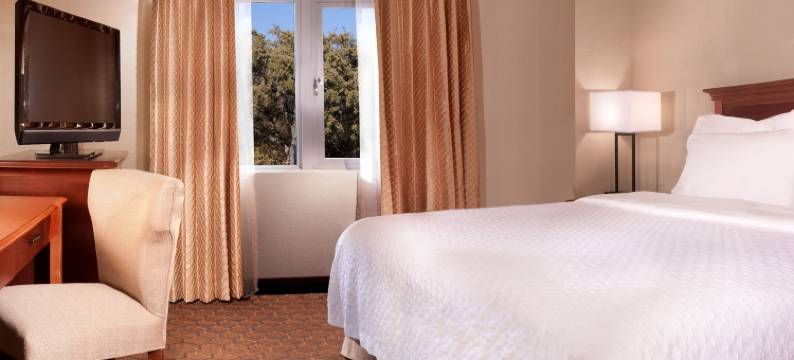 奥斯汀-植物园希尔顿安泊酒店(Embassy Suites by Hilton Austin Arboretum)图片