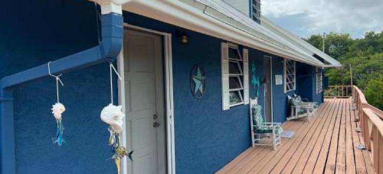 Turtles Nest Bahamas图片