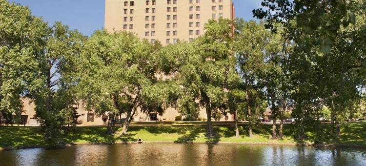 明尼阿波利斯公园广场希尔顿逸林酒店(DoubleTree by Hilton Minneapolis-Park Place)图片