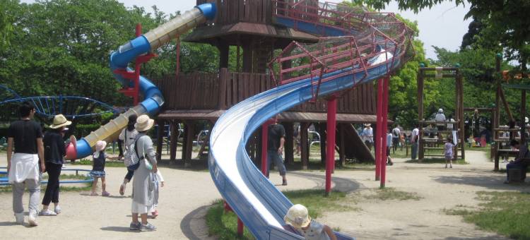 Alvilla 近江舞子(Alvilla Omi-Maiko)图片