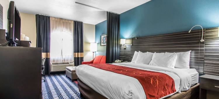 舒适套房酒店-费尔格朗斯西(Comfort Suites Fairgrounds West)图片