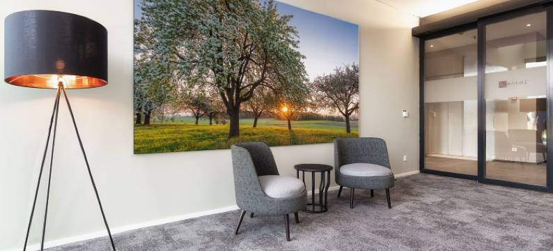 bsmart汽车旅馆阿姆里斯维尔(B_Smart Motel Amriswil)图片