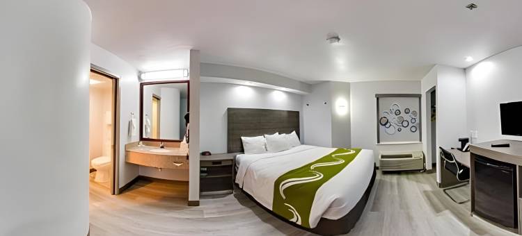 理查森-达拉斯品质酒店及套房(Quality Inn & Suites Richardson-Dallas)图片