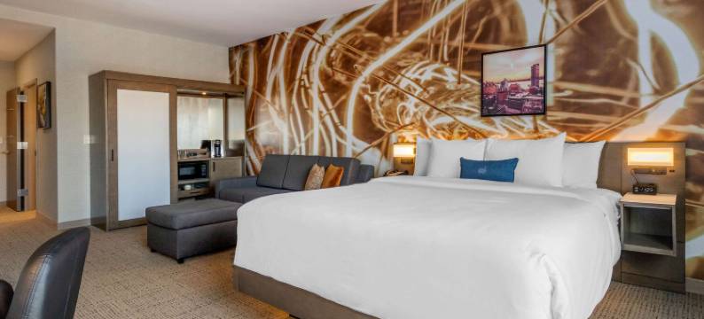 西奥兰治坎布里亚酒店(Cambria Hotel West Orange)图片