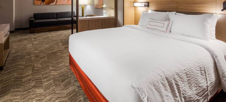 钱伯斯堡万豪SpringHill Suites酒店(SpringHill Suites Chambersburg)图片