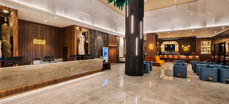 瑞尤普拉扎芝加哥(Riu Plaza Chicago)图片