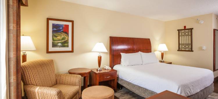 埃尔帕索希尔顿花园酒店/大学(Hilton Garden Inn El Paso / University)图片