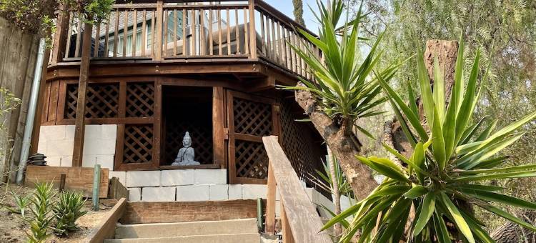 THE Zen Treehouse Retreat- Great Views and Peaceful Decks!图片