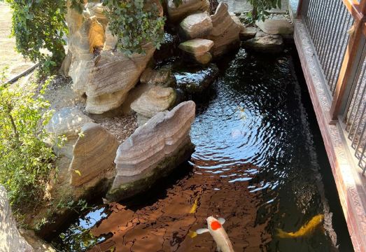 Floral Hue Villa 2 Hotel Overview