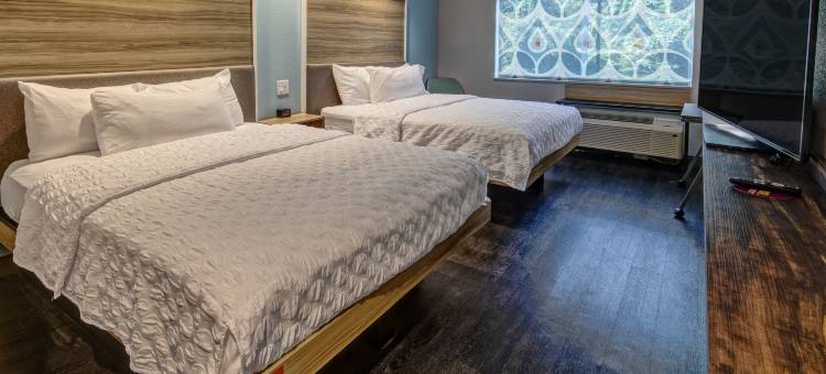 罗诺克霍林斯希尔顿Tru酒店(Tru by Hilton Roanoke Hollins)图片