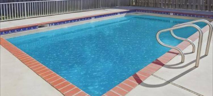 新奥尔良旅馆(Nola Inn)图片